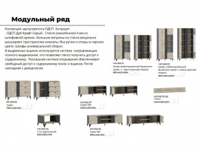 Гостиная Отис Дуб Крафт Серый/Антрацит в Щучьем - shchuche.magazinmebel.ru | фото - изображение 5